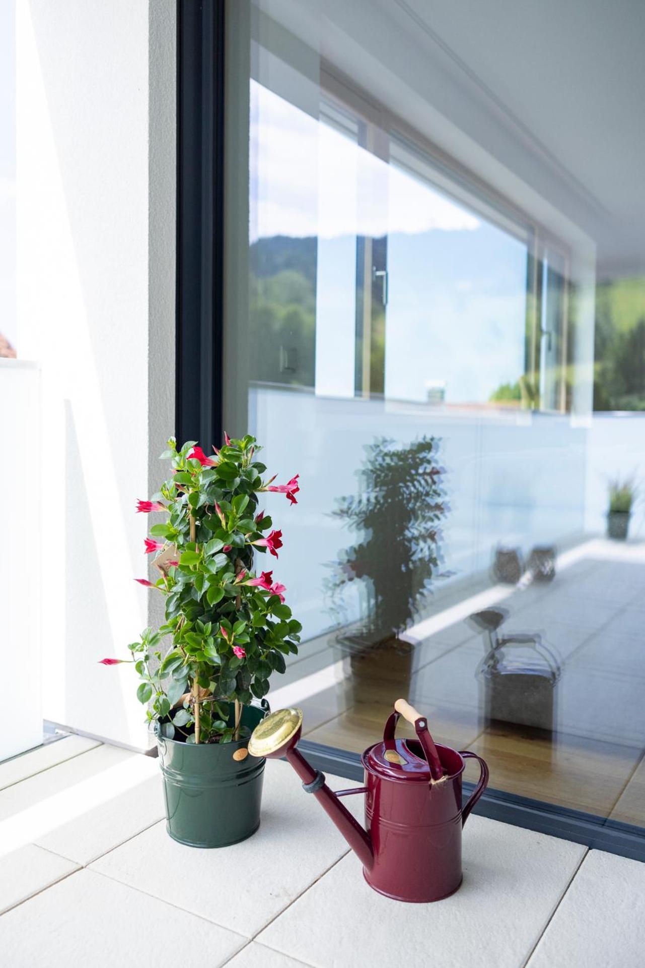 Bodensee Bergblick Suite Лохау Екстериор снимка